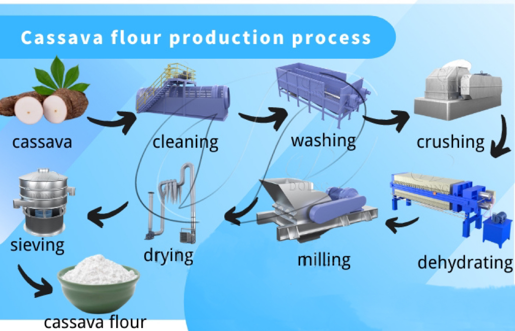 Cassava flour project