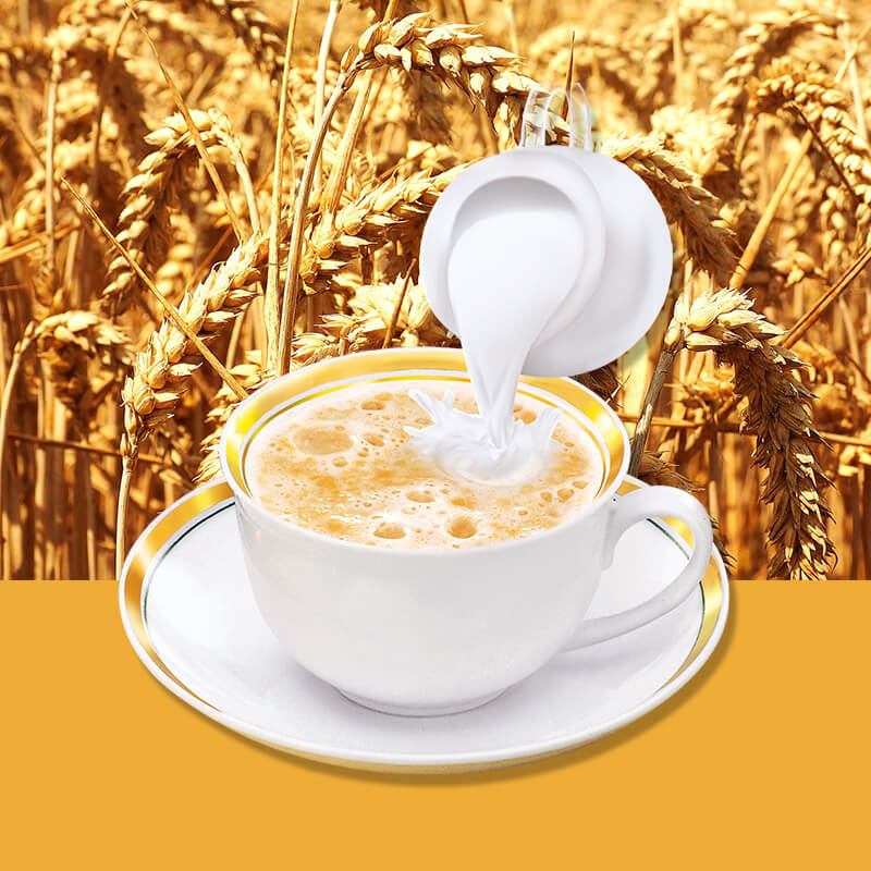 Organic Silk Non Dairy Creamer For Oatmeal