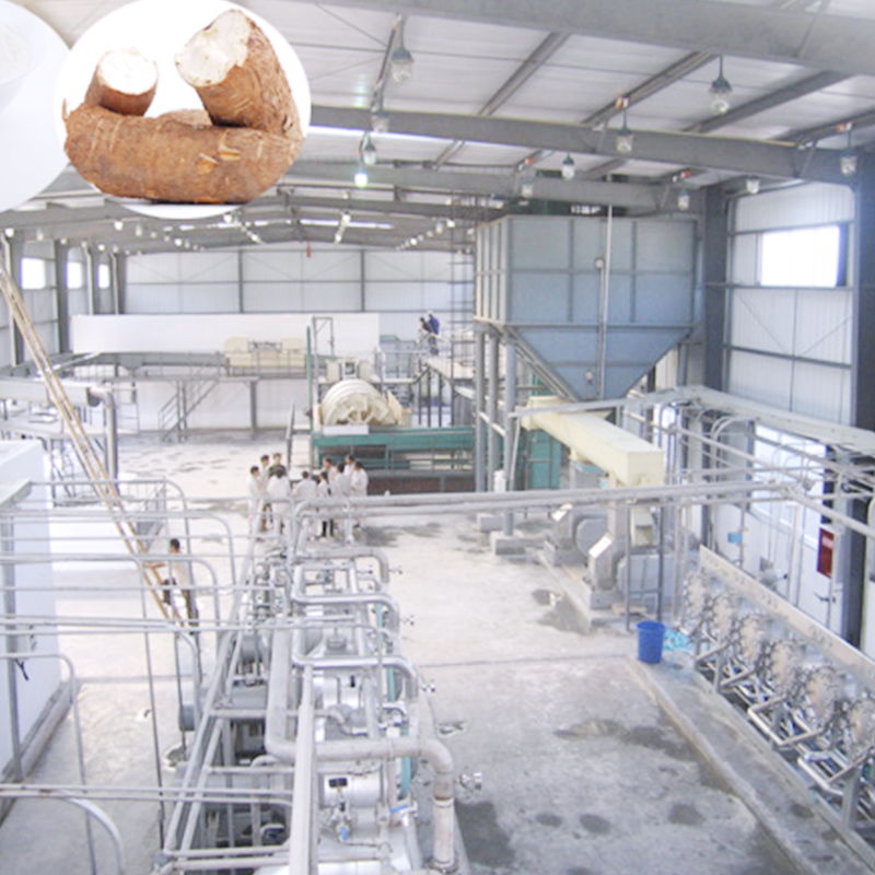 Cassava Flour Project